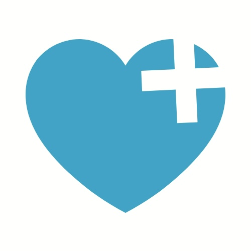 organization.logo