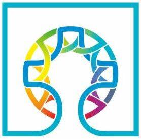 organization.logo