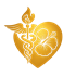 organization.logo