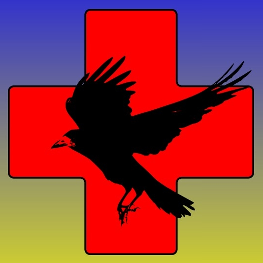 organization.logo